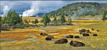 Load image into Gallery viewer, Yellowstone